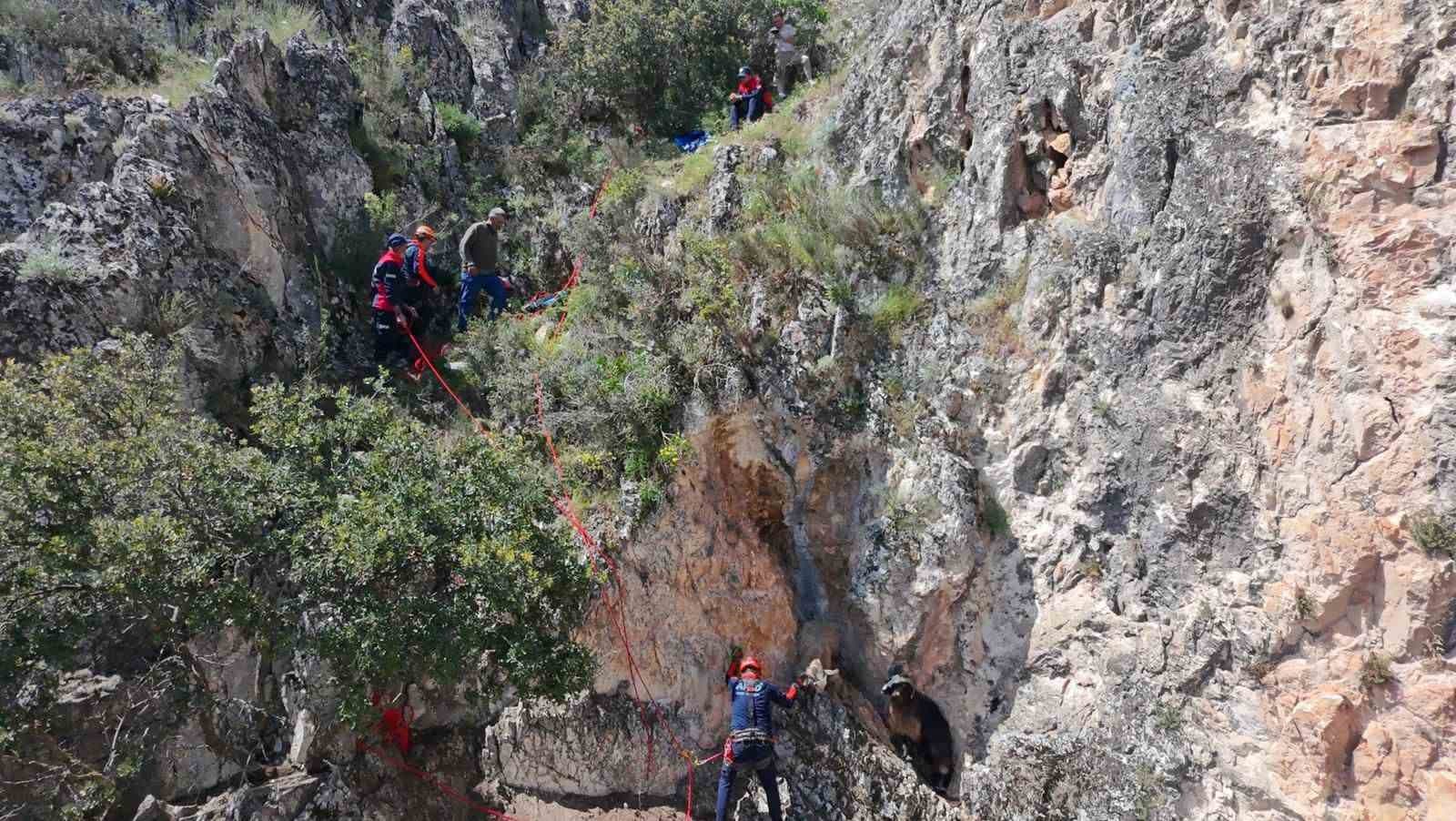Dağda mahsur kalan keçiler kurtarıldı