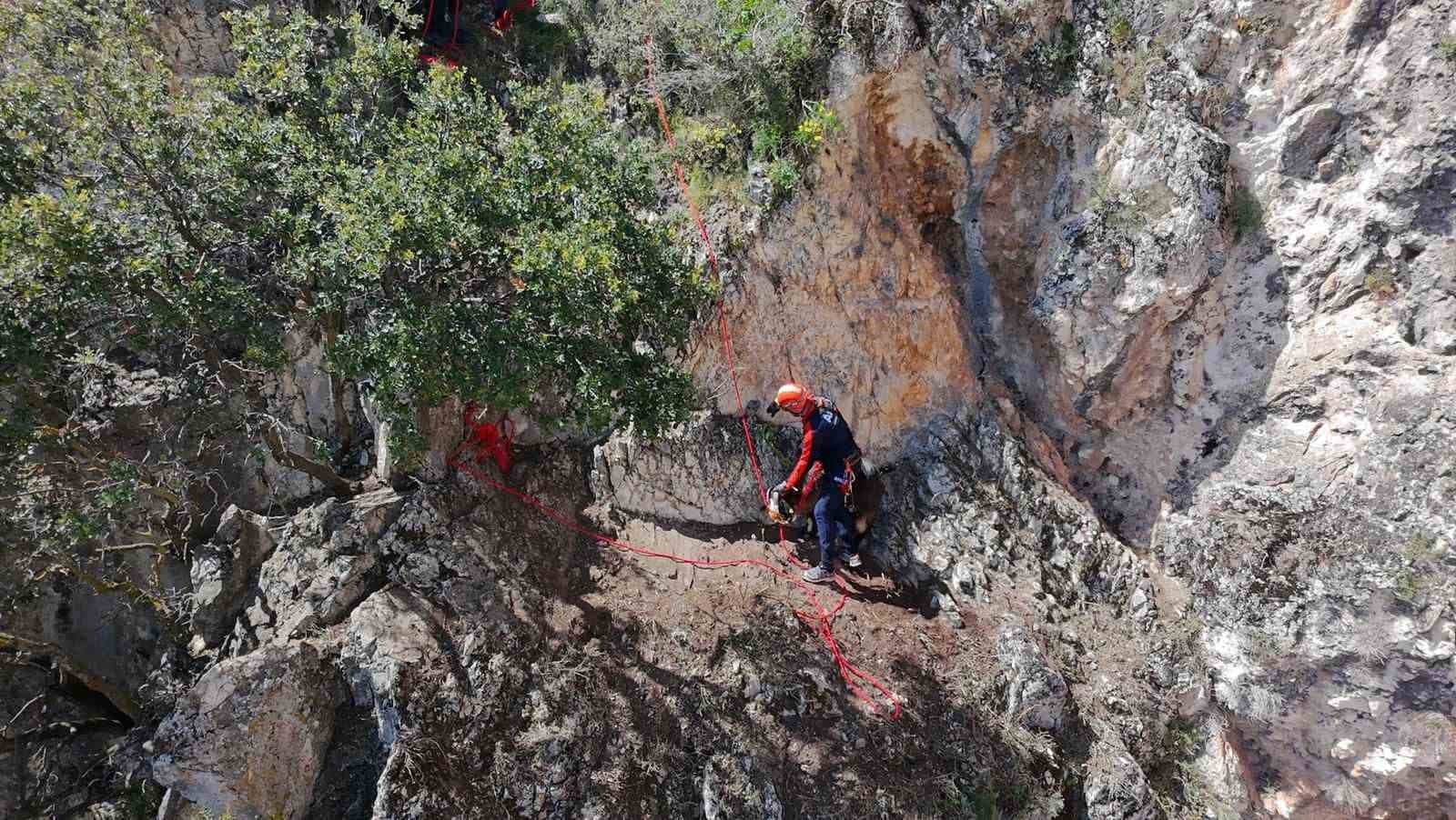 Dağda mahsur kalan keçiler kurtarıldı