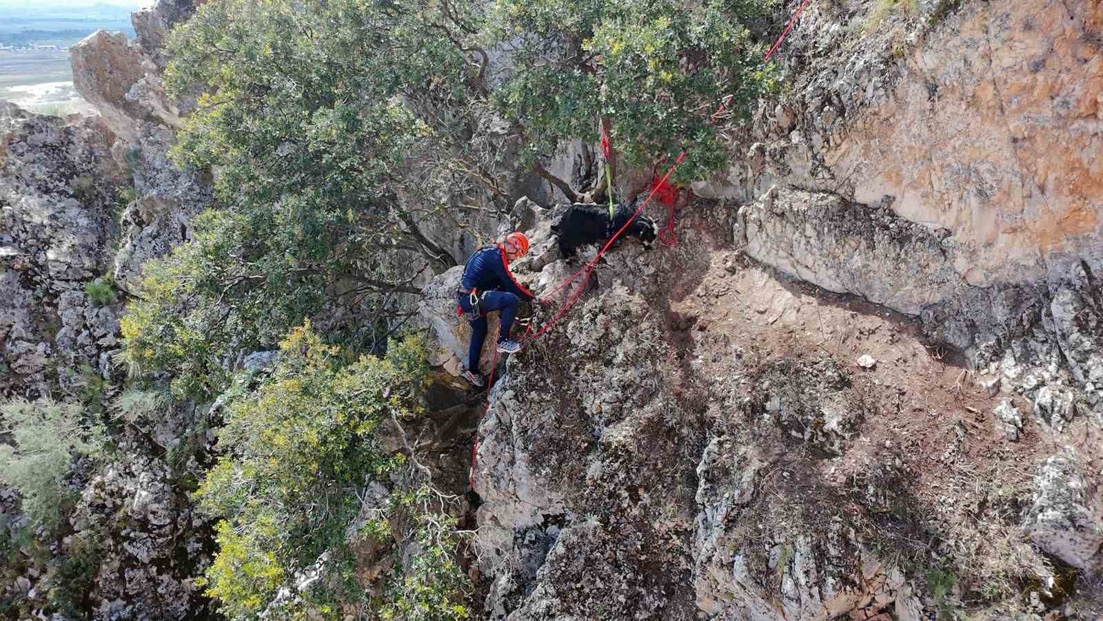 Dağda mahsur kalan keçiler kurtarıldı
