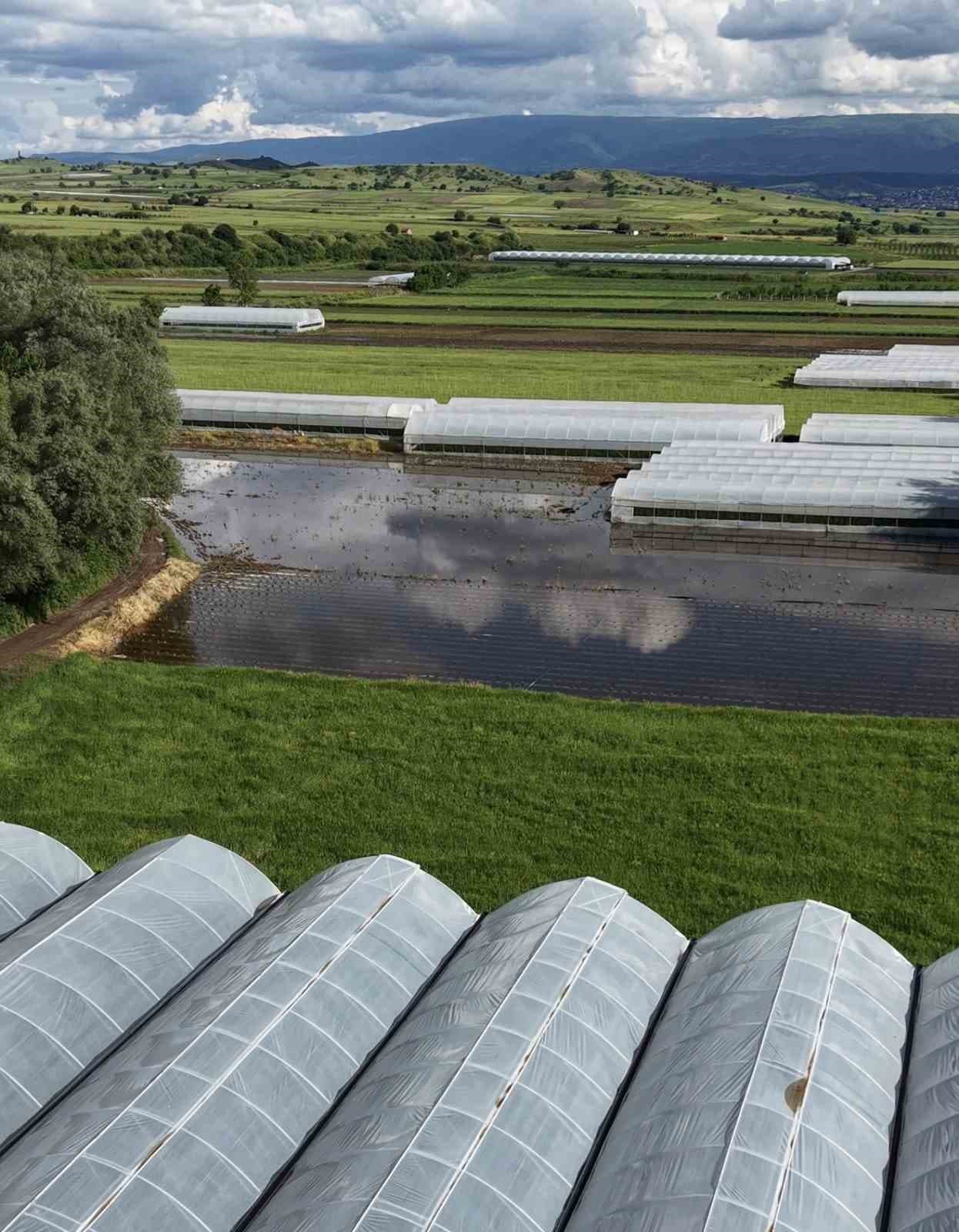Kelkit çayı taştı, ağaçlık alan nehre dönüştü, seralar sular altında kaldı