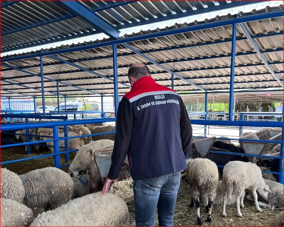 Bolu’da kurban pazarlarına yönelik denetim yapıldı