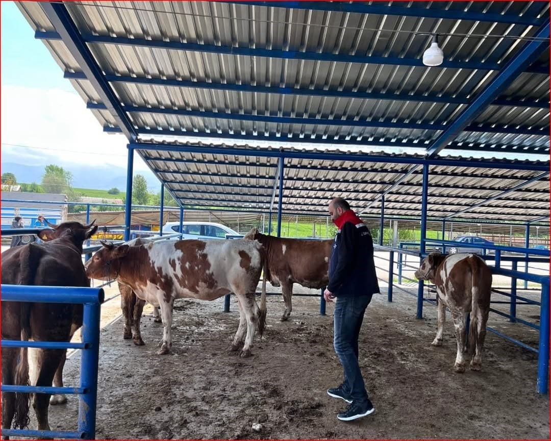Bolu’da kurban pazarlarına yönelik denetim yapıldı