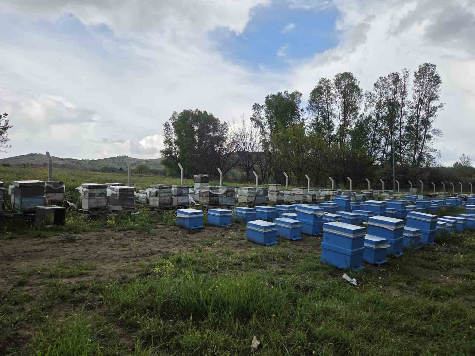 Hobi olarak 5 kovanla başladı, zamanla 250 kovana çıkardı