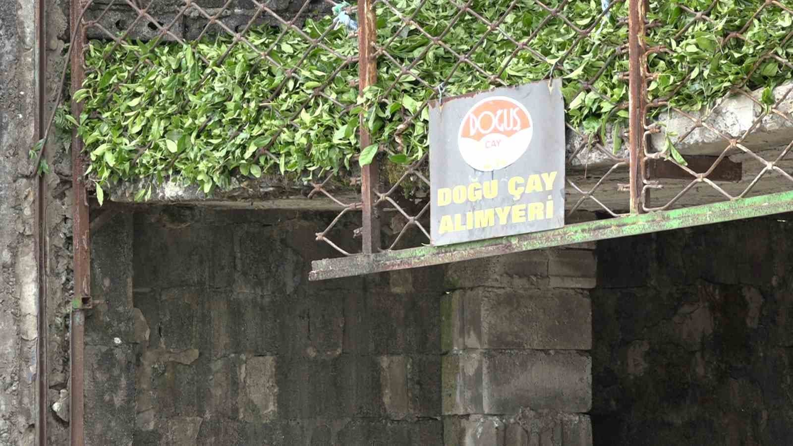 Çay üreticisinden özel sektöre fiyat tepkisi