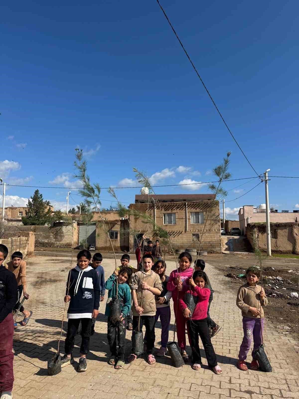 Mardin’de camide 450 fidanlık ağaçlandırma çalışması yapıldı
