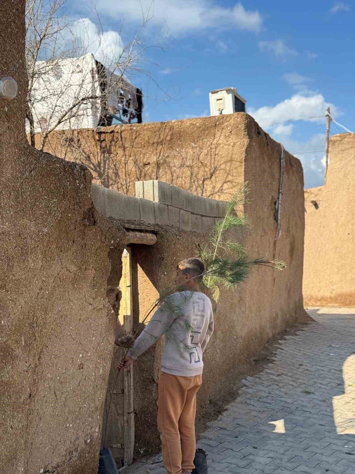 Mardin’de camide 450 fidanlık ağaçlandırma çalışması yapıldı