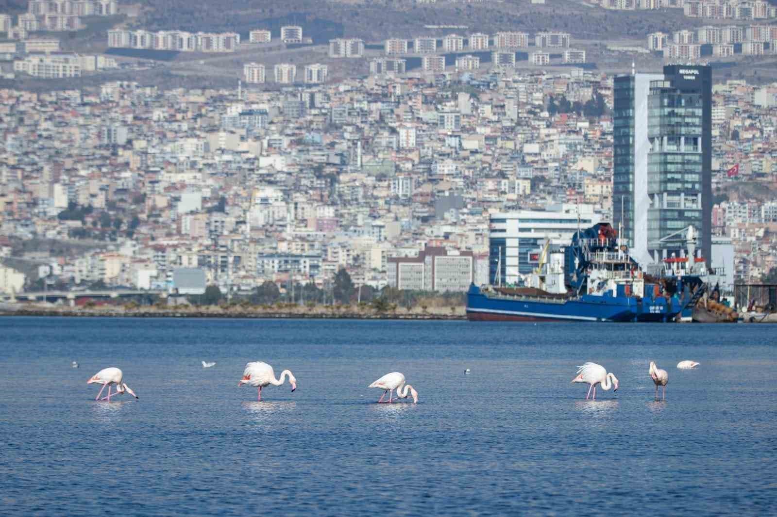 İzmir Körfezi’nden 1,2 milyon ton dip çamuru, binlerce ton atık temizlendi