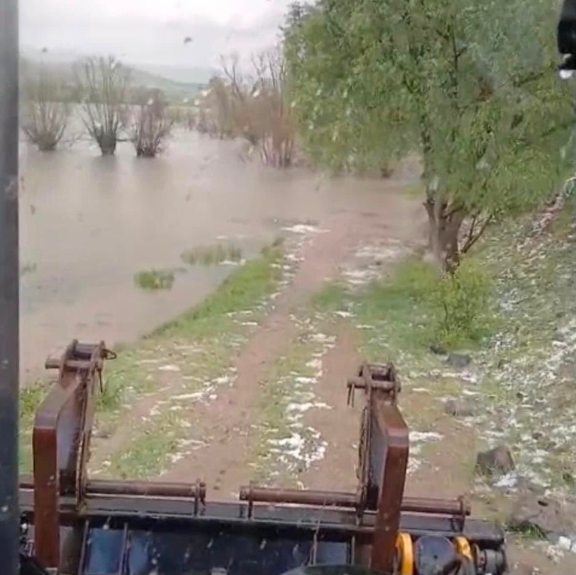 Bolu’da sağanak yağış dereleri taşırdı: Bahçe ve ahırlar sular altında kaldı