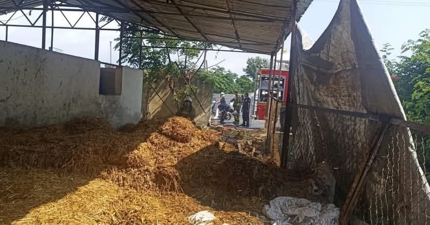Dörtyol’da samalık yangını