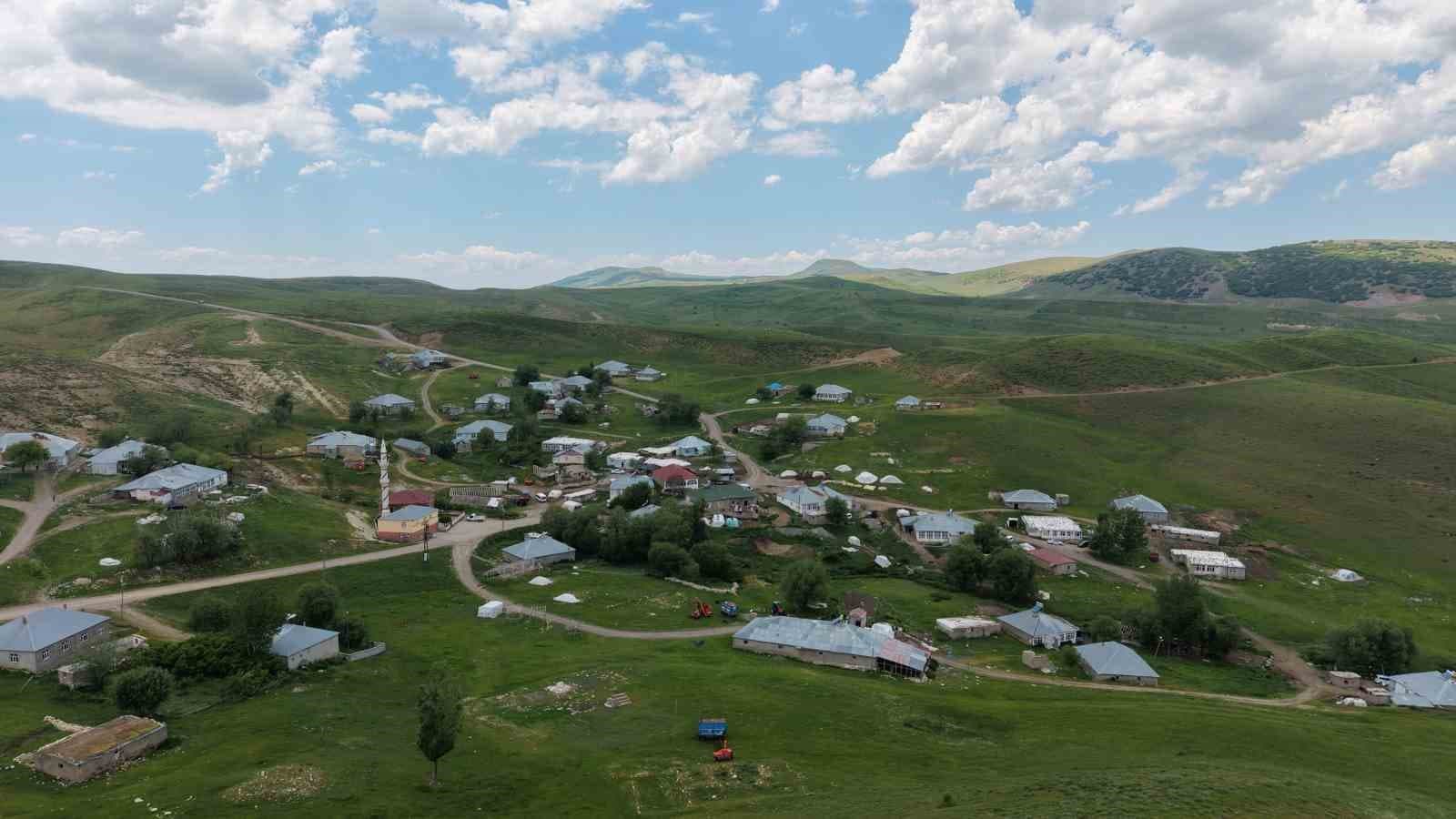 Muş’ta kaybolan çoban için arama çalışmaları sürüyor