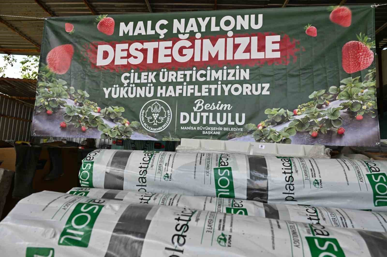 Manisa Büyükşehir’den çilek üreticilerine malç naylonu desteği