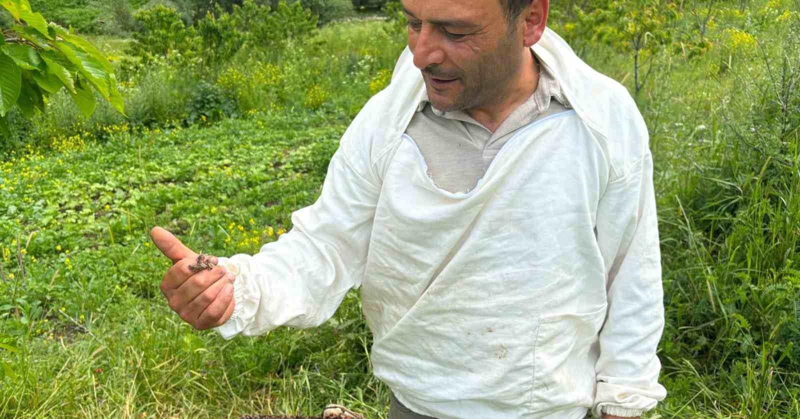 Artvin’de bal hasat sezonu öncesi üreticilerle buluşma