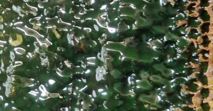 Artvin’de bal hasat sezonu öncesi üreticilerle buluşma