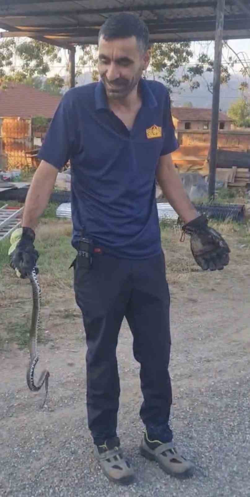 Eve giren yılanı itfaiye ekipleri çıkarttı