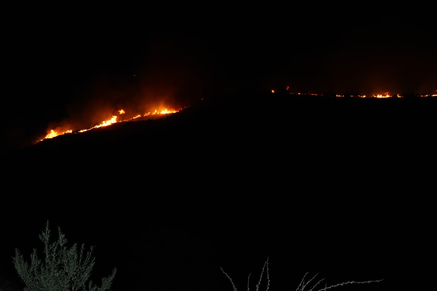 Kula’da makilik alanda yangın: 400 dönüm alan zarar gördü