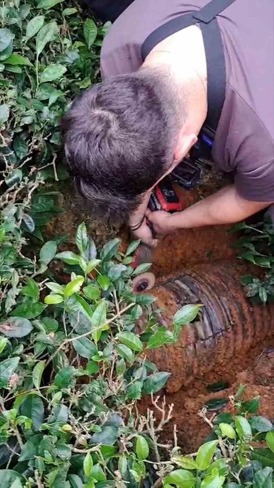 Rize’de 4 gündür boru içinde sıkışan kediyi çay üreticileri kurtardı
