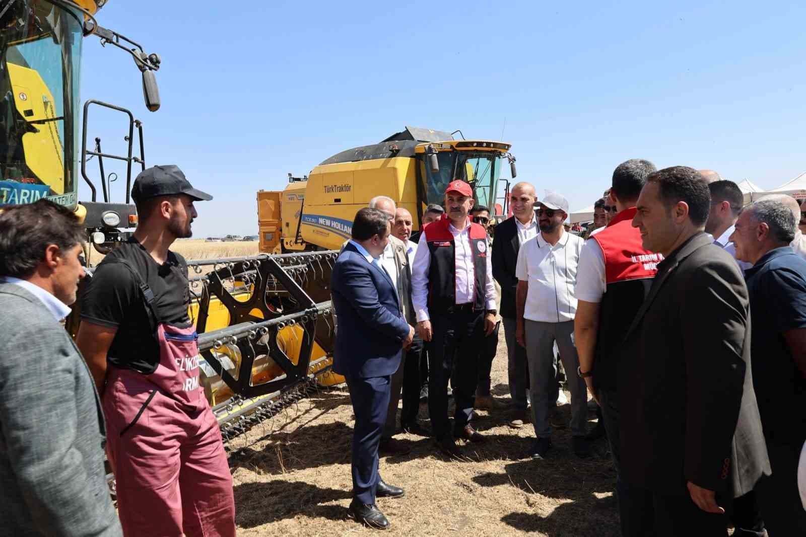 Ağrı’da buğday hasadı başladı, verim beklentisi yükseldi