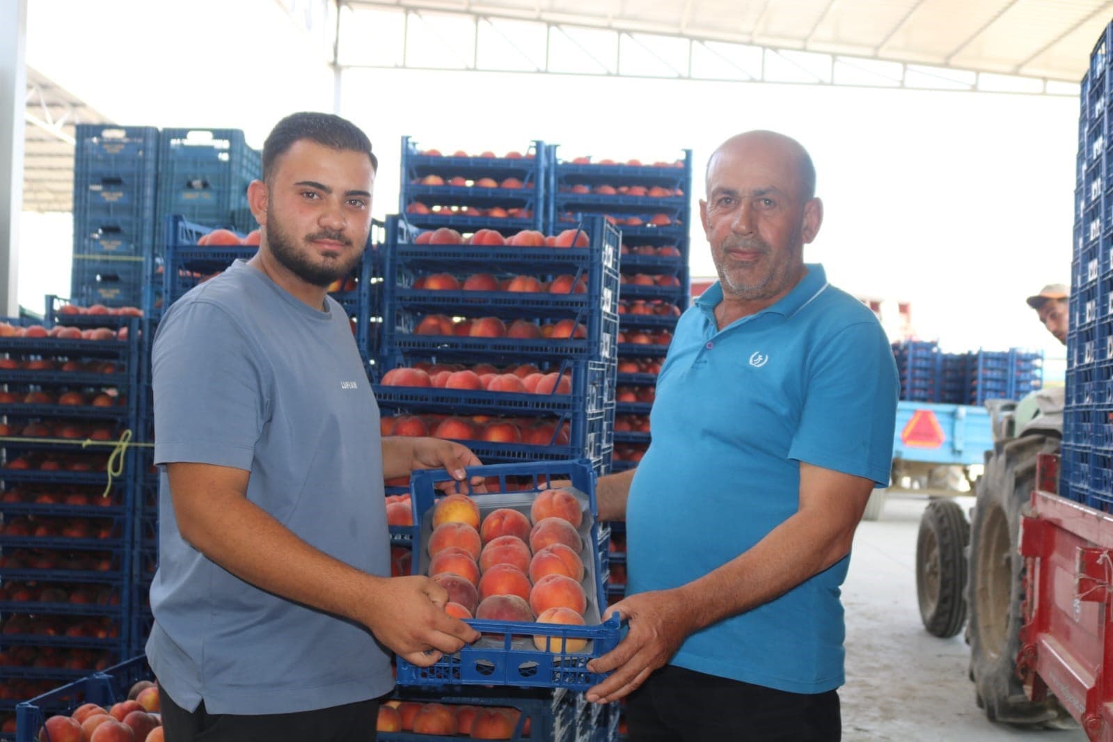 Şeftali fiyatları 1 günde yarıya düştü