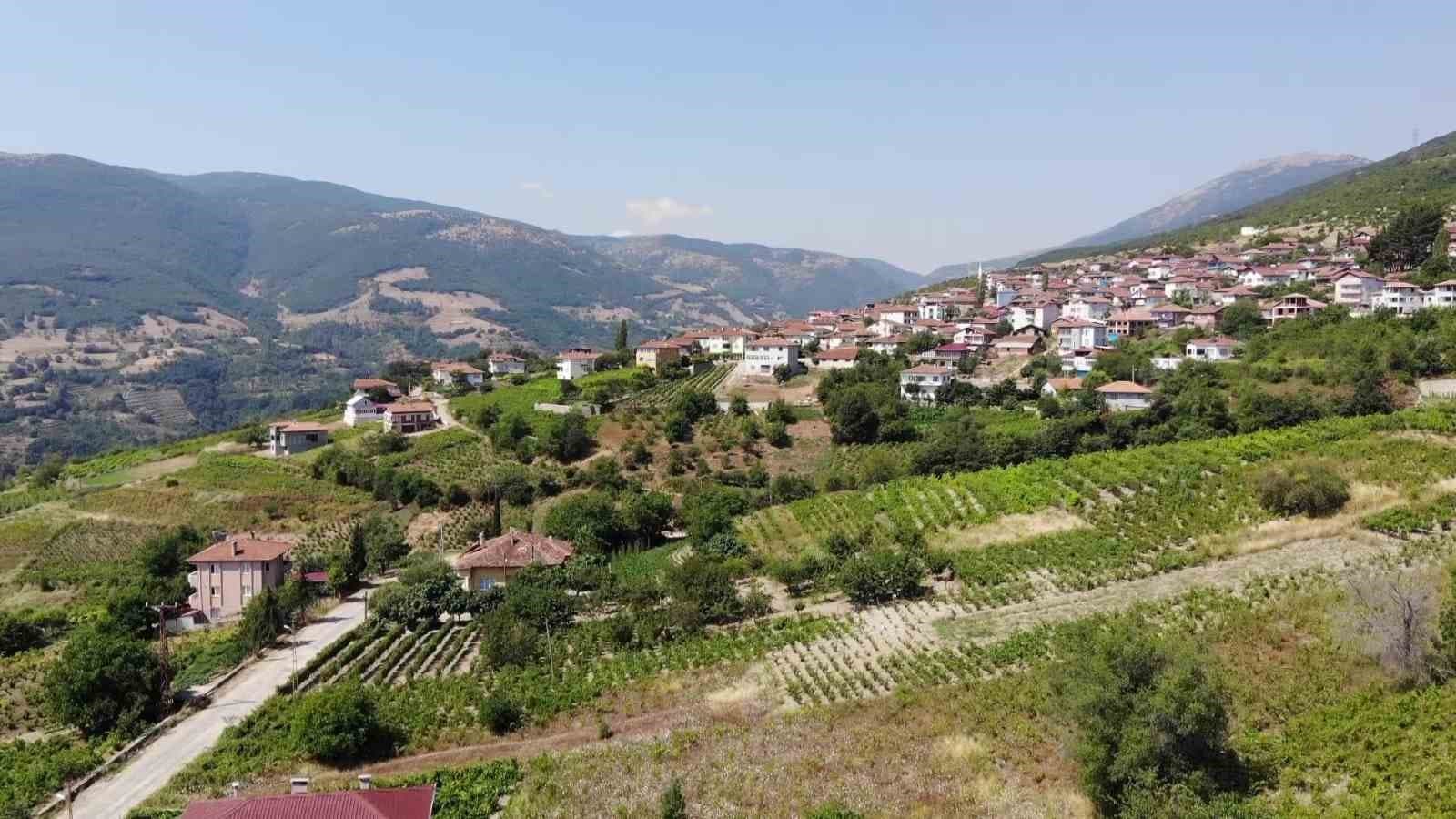 Amasya’da vatandaşlar 20 yıldır baraj inşa edilmesini bekliyor