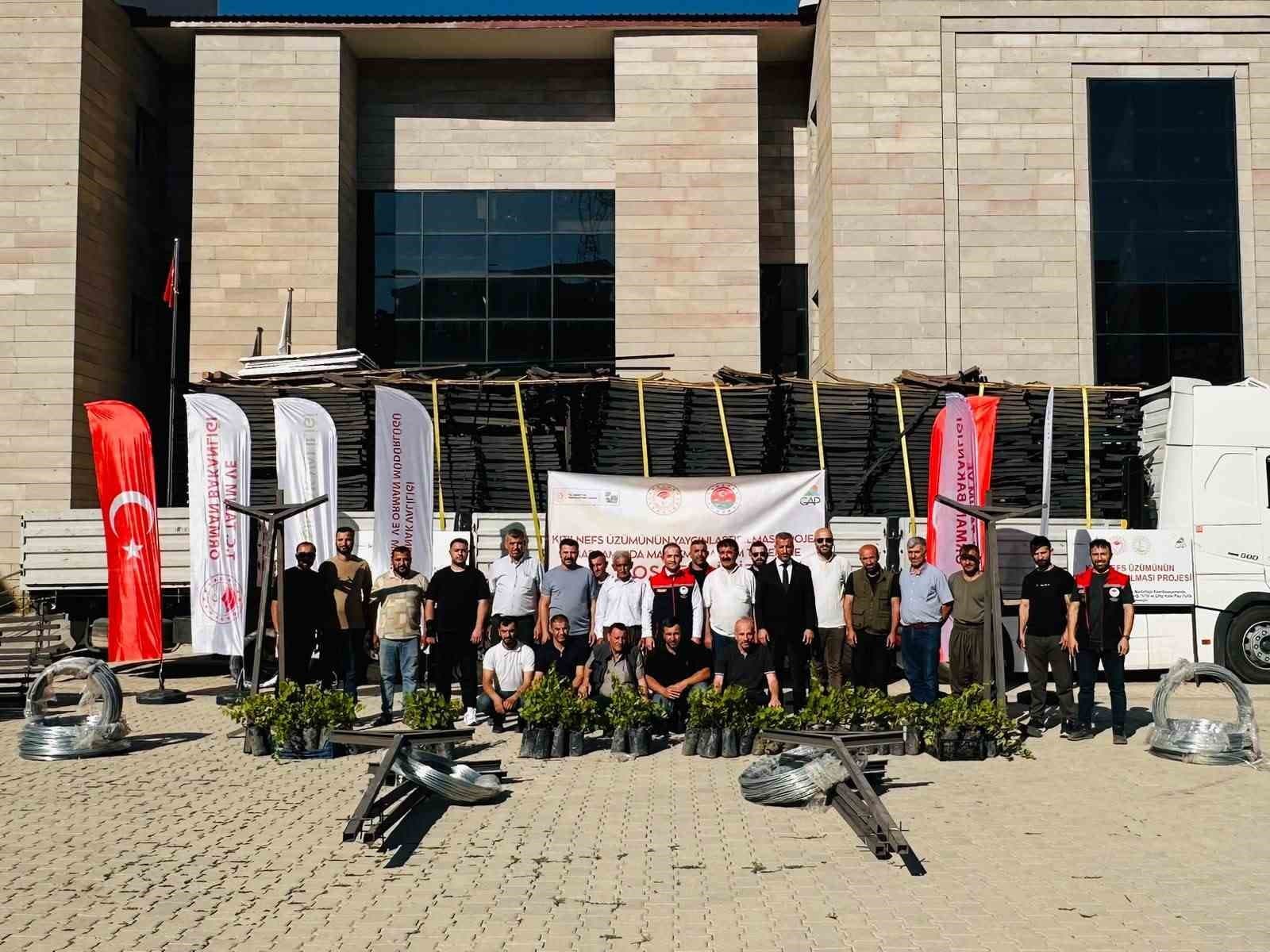 Şırnak’ta "kıtılnefs üzümü" için üreticilere ekipman ve fidan desteği