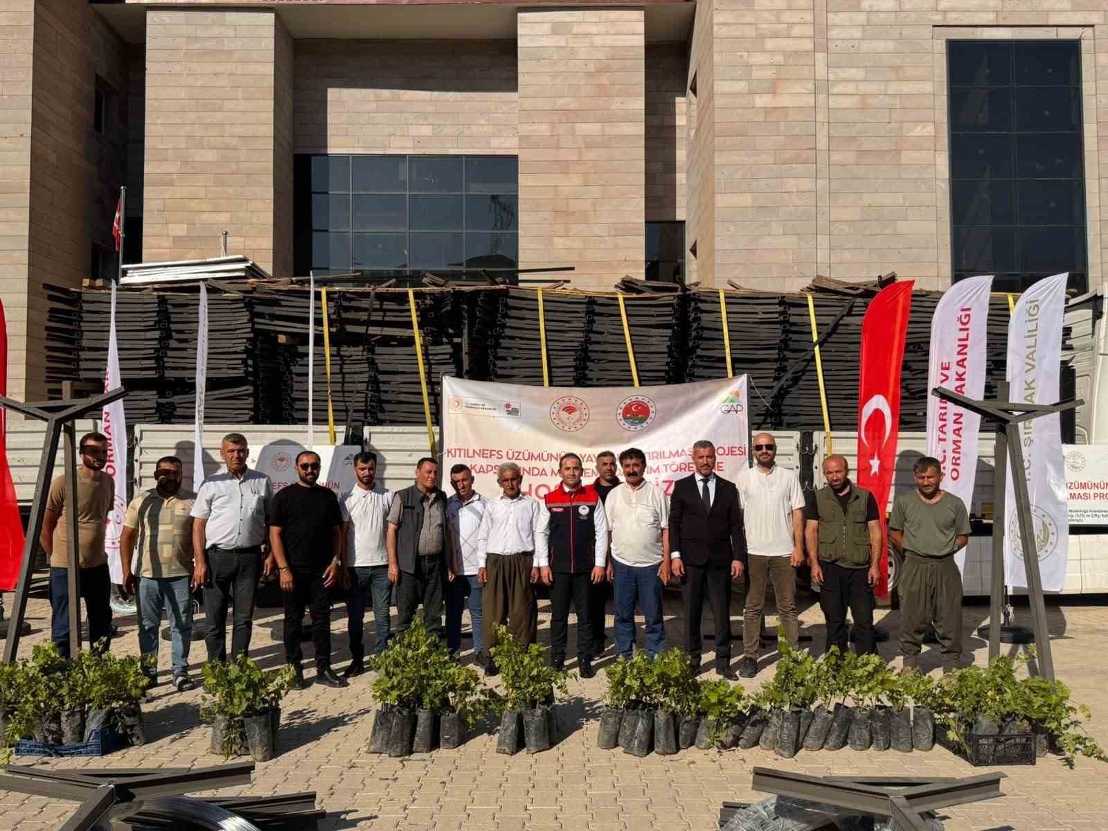Şırnak’ta "kıtılnefs üzümü" için üreticilere ekipman ve fidan desteği