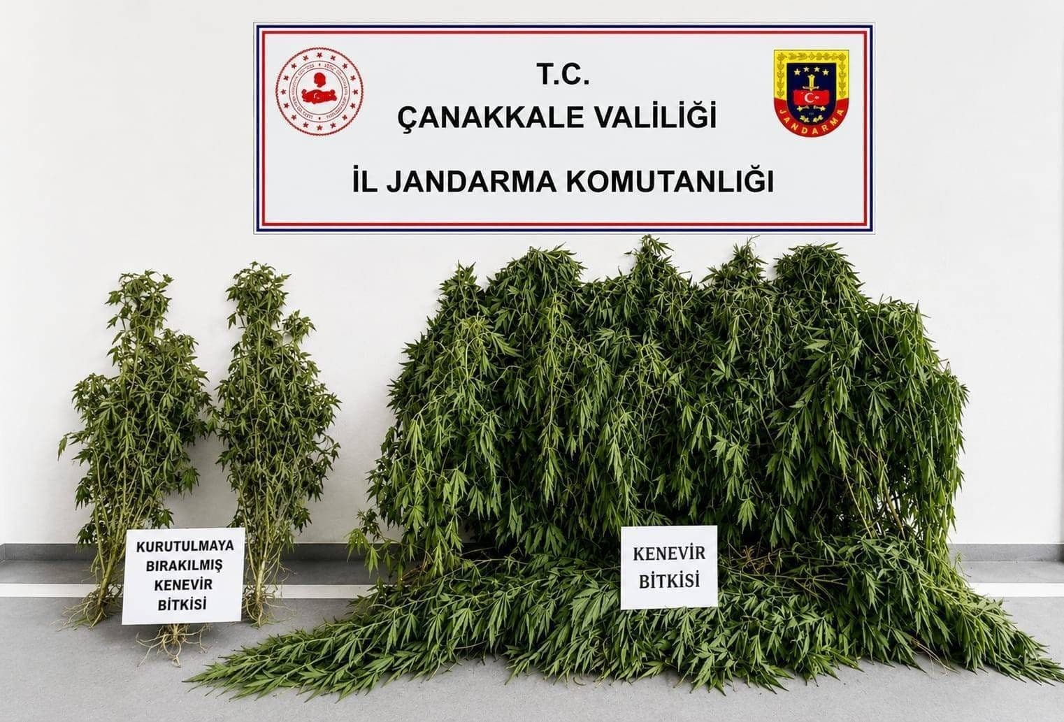 Çanakkale’de jandarmadan uyuşturucu operasyonu: 68 gözaltı