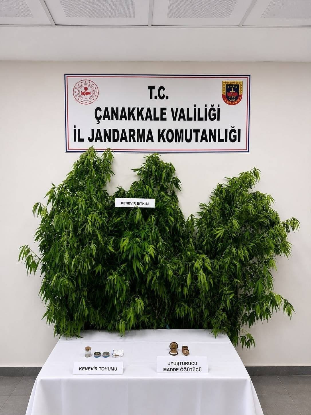 Çanakkale’de jandarmadan uyuşturucu operasyonu: 68 gözaltı