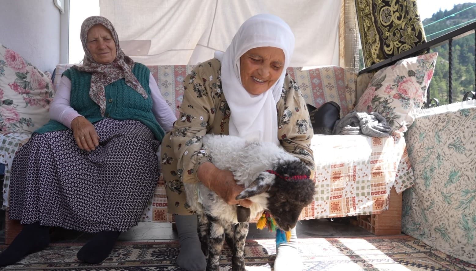 Torunu gibi büyüttüğü kuzu "Boncuk" evin neşe kaynağı oldu