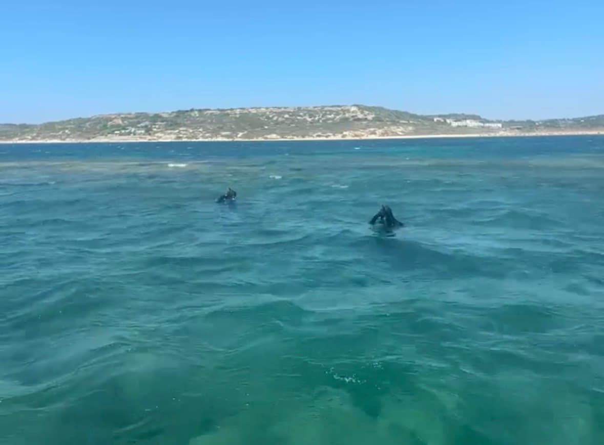 Bozcaada açıklarında kaybolan dalgıç için arama çalışmaları devam ediyor