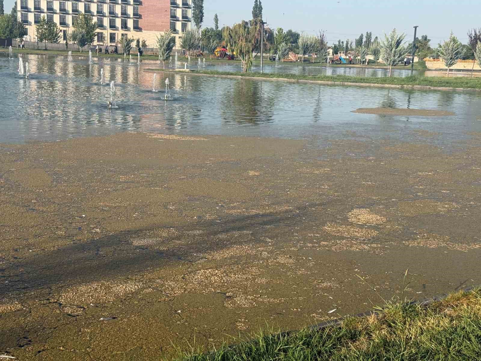 Iğdır Millet Bahçesi’ndeki süs havuzunda kirlilik tepki çekiyor
