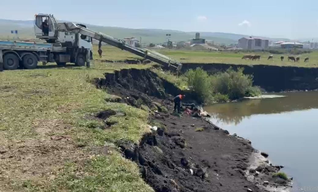 Kura Nehri’nde bataklığa saplanan at vinç yardımıyla kurtarıldı