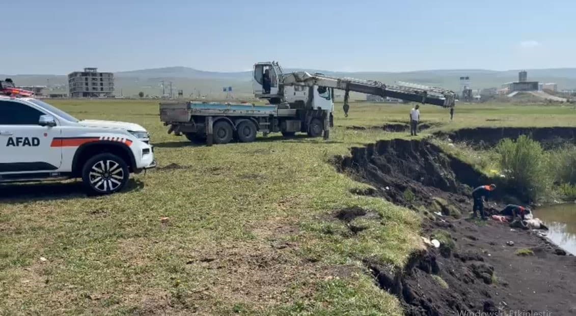 Kura Nehri’nde bataklığa saplanan at vinç yardımıyla kurtarıldı