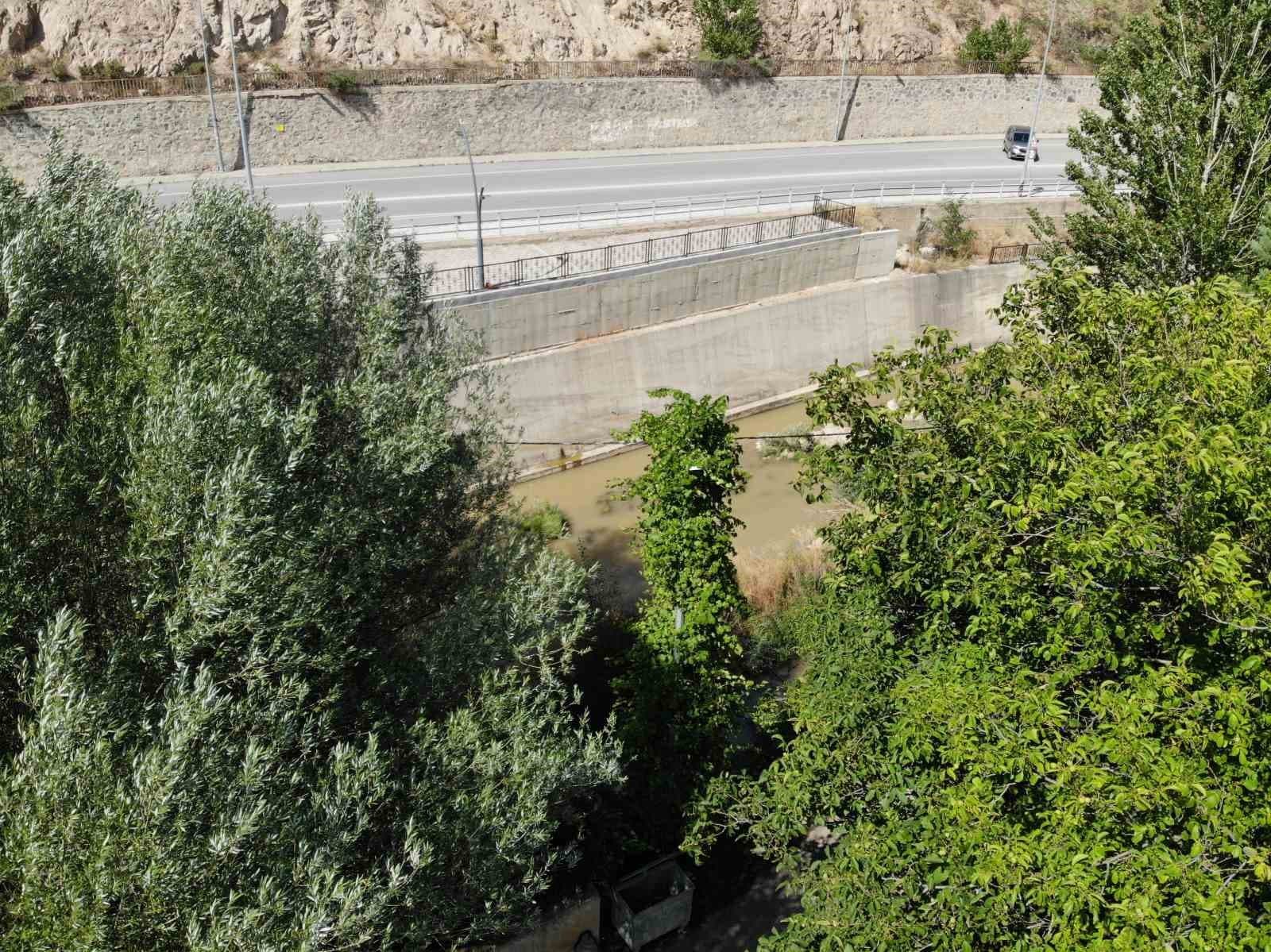 Gümüşhane’de üzüm sarmaşıkları elektrik direğini ağaca çevirdi