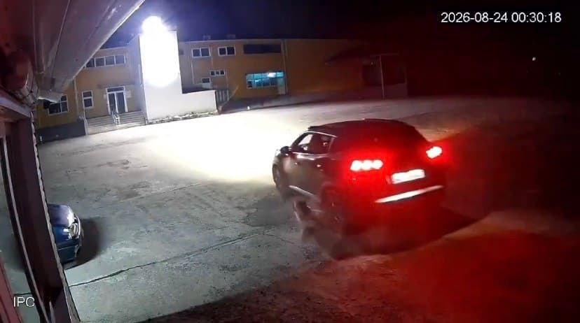 Giresun’da köpeği ezen adam vicdanları yaraladı