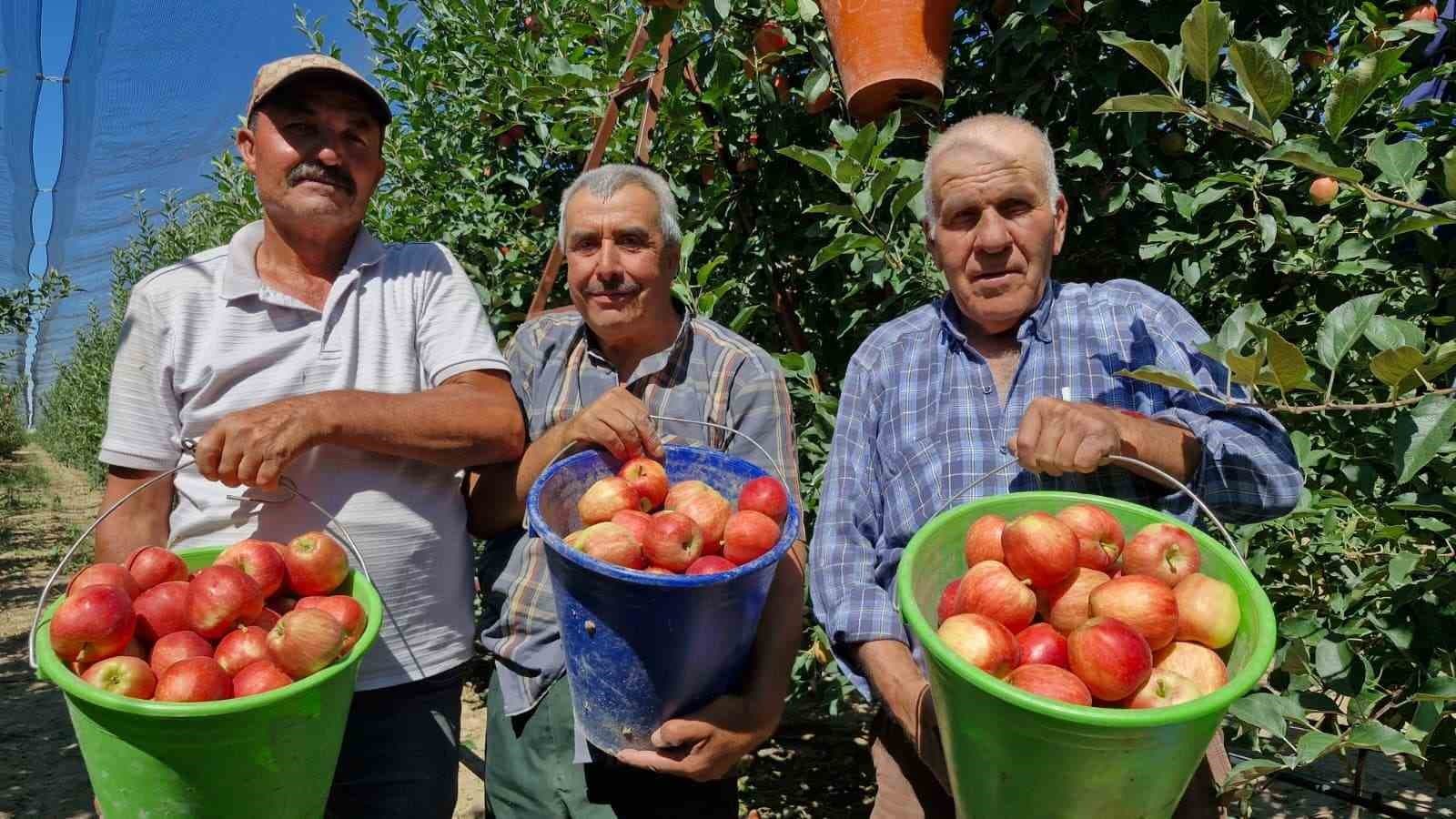 Karaman’da erkenci elma hasadı başladı: Rekolte yüksek