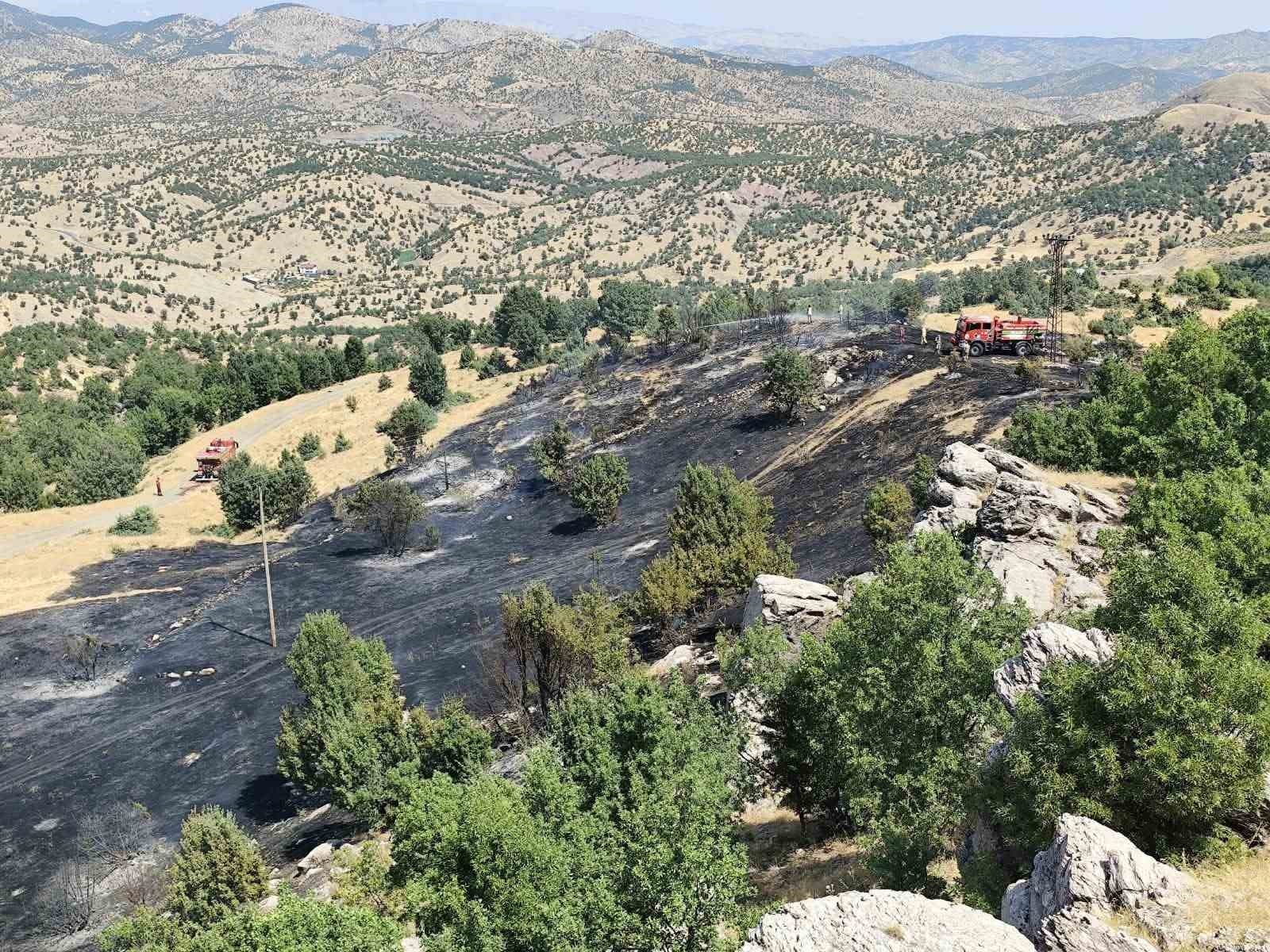Bingöl’de iki ayrı noktada çıkan yangınlar söndürüldü