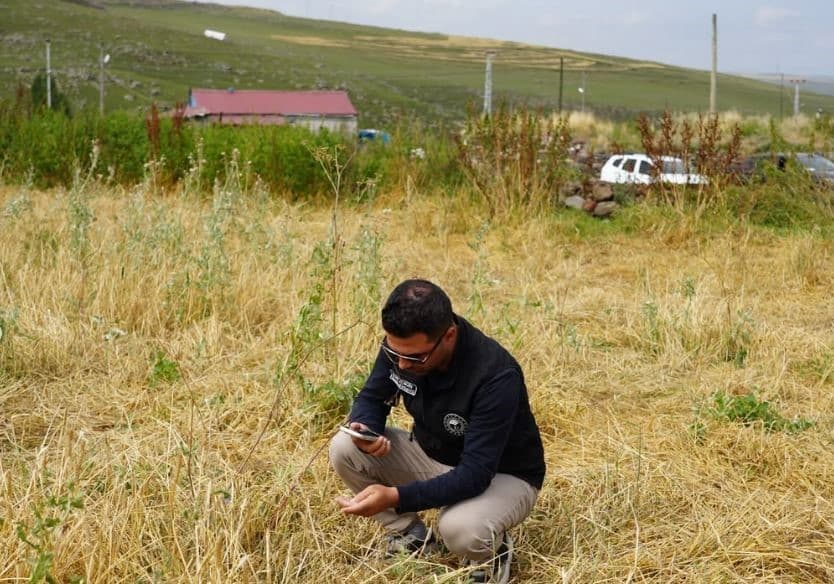 Aşırı yağış ve dolu nedeniyle zarar gören arazilerde hasar tespiti yapıldı