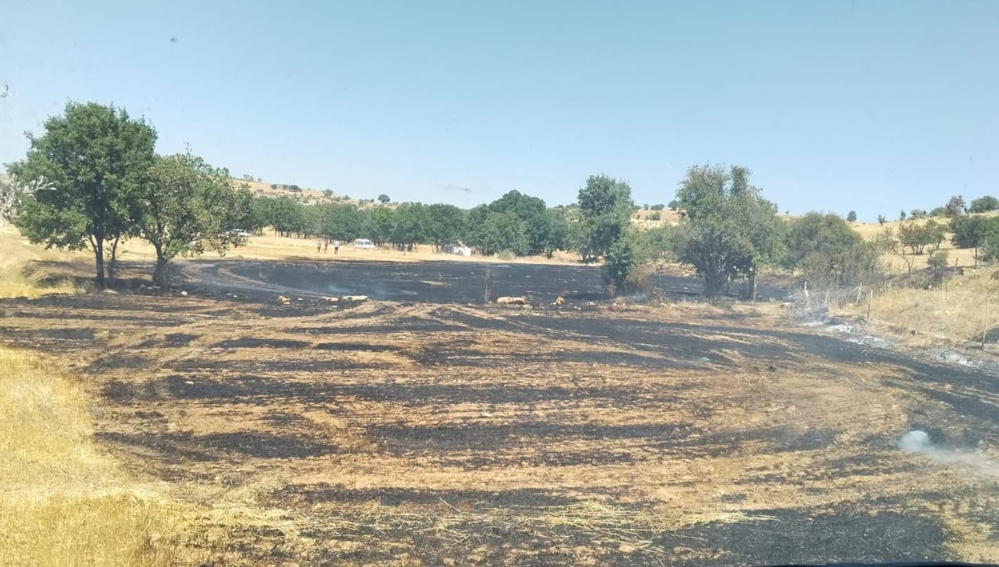 Tütsü yapmak için yakılan ateş arı kovanlarını ve meyve ağaçlarını yaktı