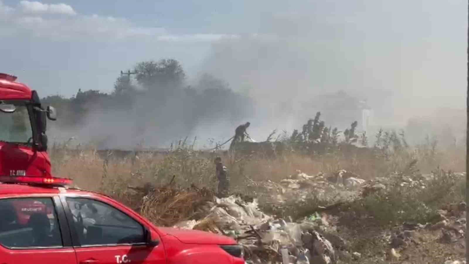 Zeytinlik alanda çıkan yangın korkuttu