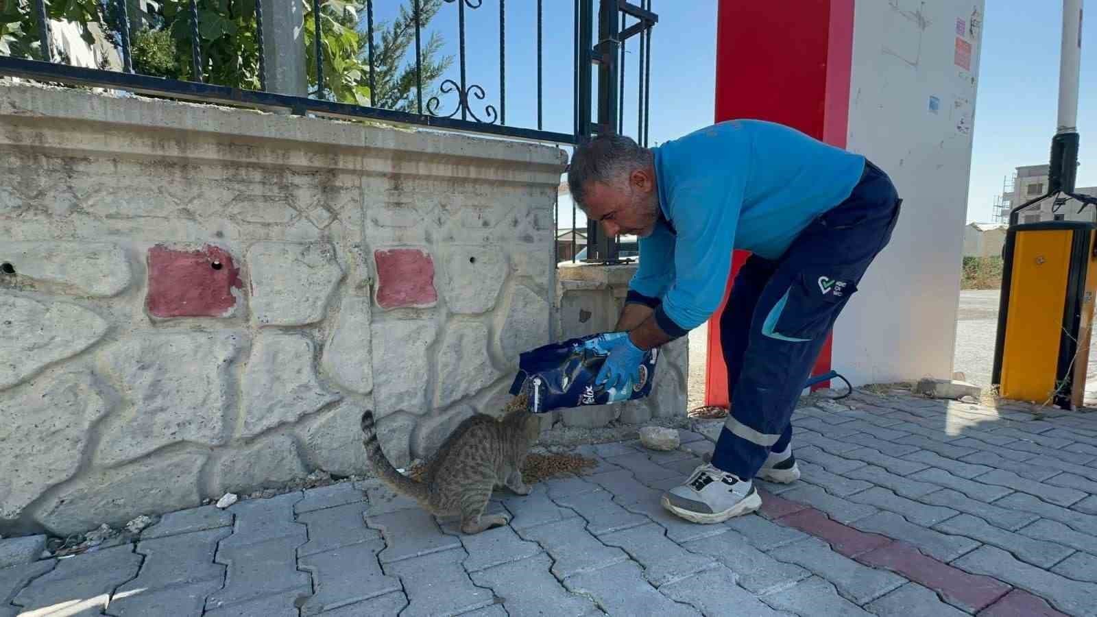 Adıyaman Belediyesi’nden sokak hayvanlarına mama ve su desteği