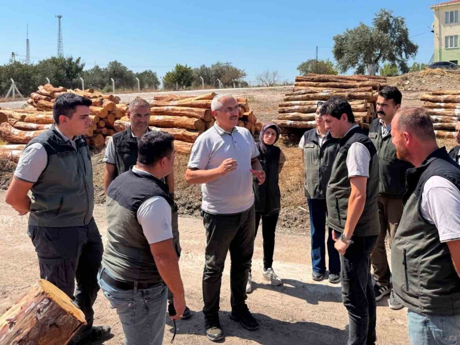 Soma ormanlarında yangın riskine karşı yoğun çalışma