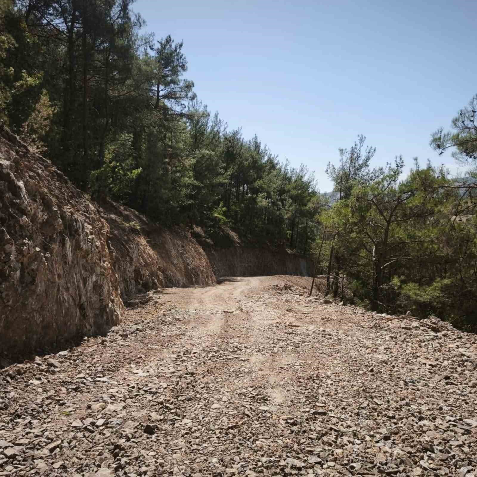 Soma ormanlarında yangın riskine karşı yoğun çalışma
