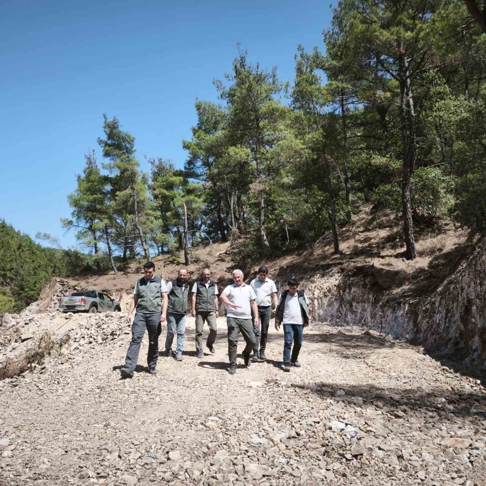 Soma ormanlarında yangın riskine karşı yoğun çalışma
