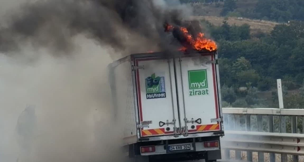 Bursa’da seyir halindeki kamyonet alevlere teslim oldu