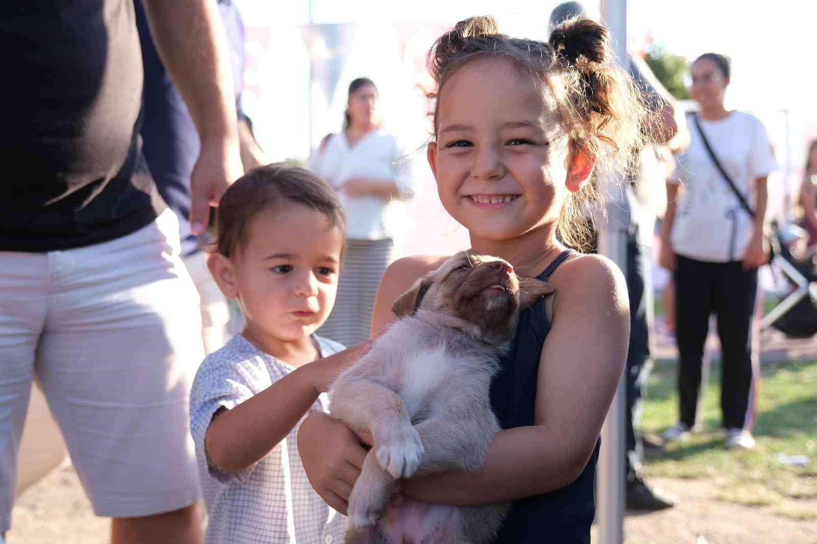 Altıeylül’de minik patiler sıcak yuvalarına kavuştu