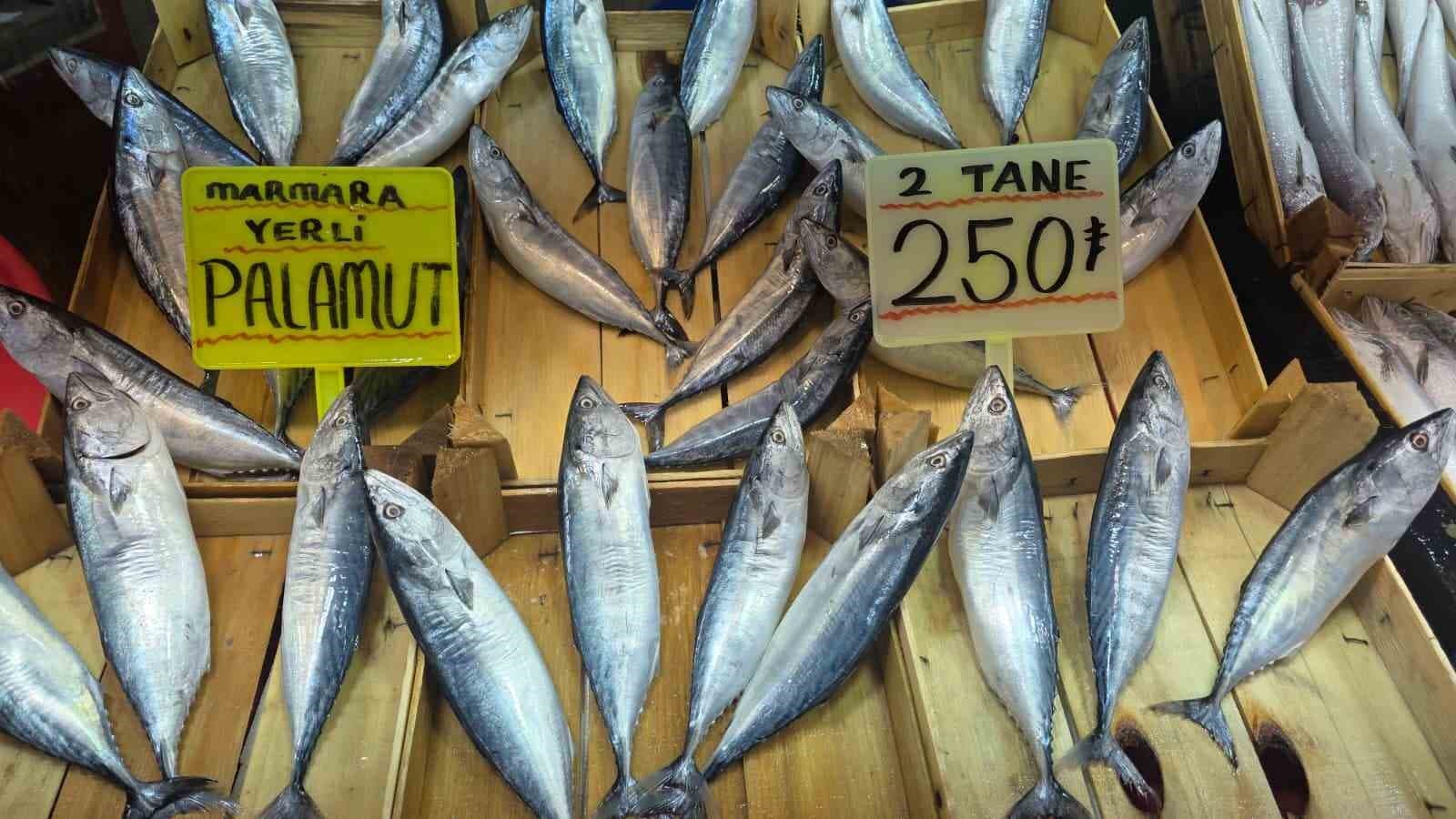 Eylül ayında palamuta doyacağız