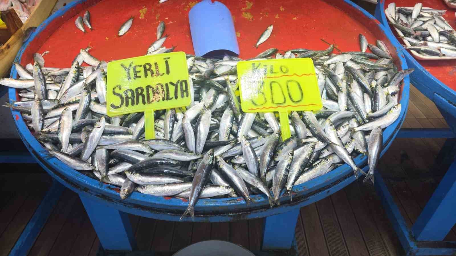 Eylül ayında palamuta doyacağız