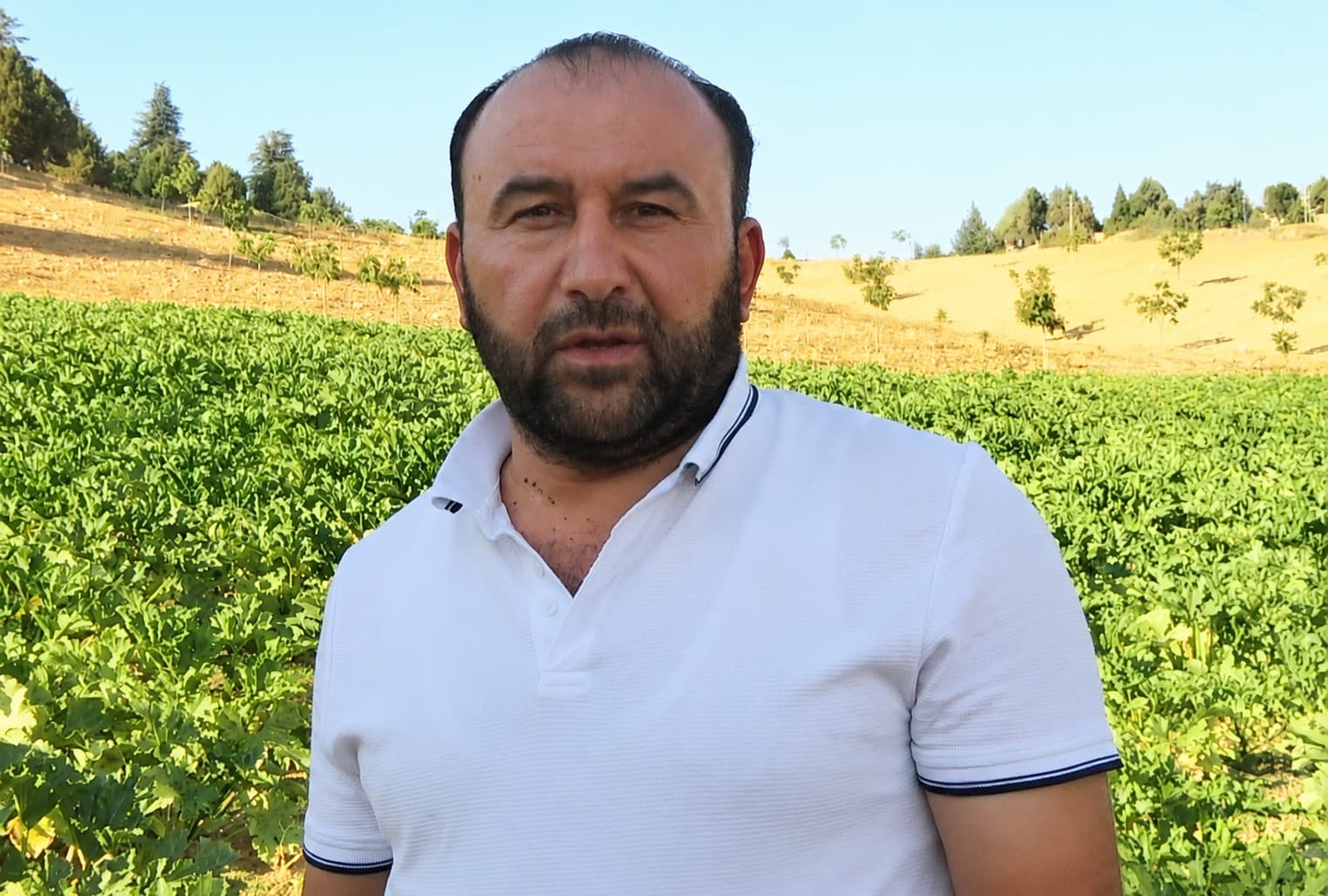 Deprem sonrası hayatını yeniden inşa etti, köyüne döndü: Şimdi kabak yetiştiriyor