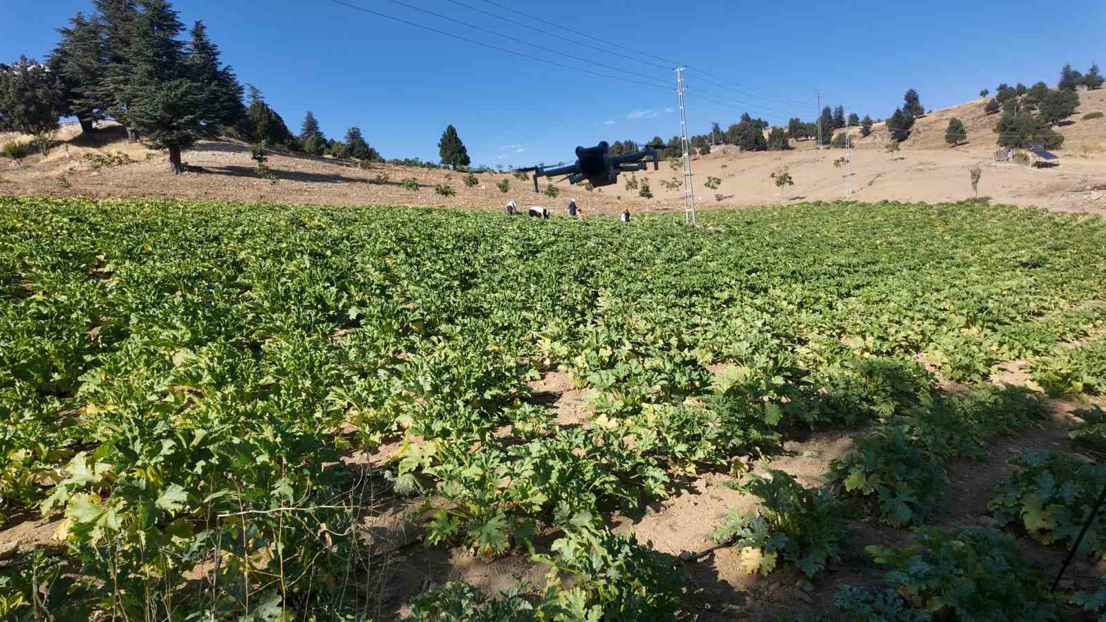 Deprem sonrası hayatını yeniden inşa etti, köyüne döndü: Şimdi kabak yetiştiriyor