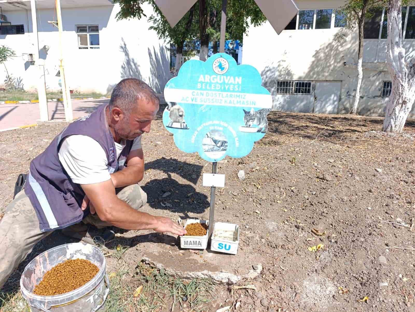 Arguvan’da can dostları aç ve susuz bırakılmıyor